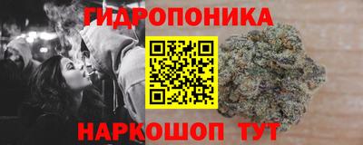 прущие грибы Обь