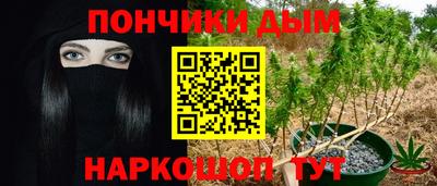 прущие грибы Обь