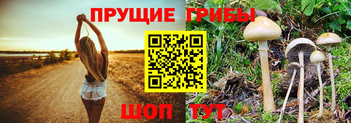 Галлюциногенные грибы ЛСД  Вход с VPN  где продают   Тихвин 