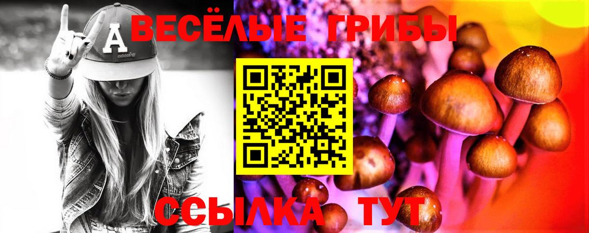 Галлюциногенные грибы мицелий Тихвин