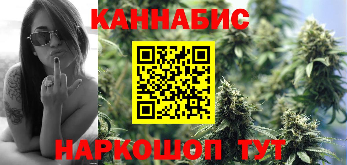 Конопля сатива  МАРИХУАНА сатива  Бошки Шишки Ganja  Тихвин  Вход с VPN 